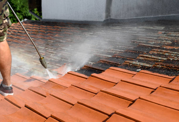 Best Power Washing Near Me  in Cedar Hill, TX